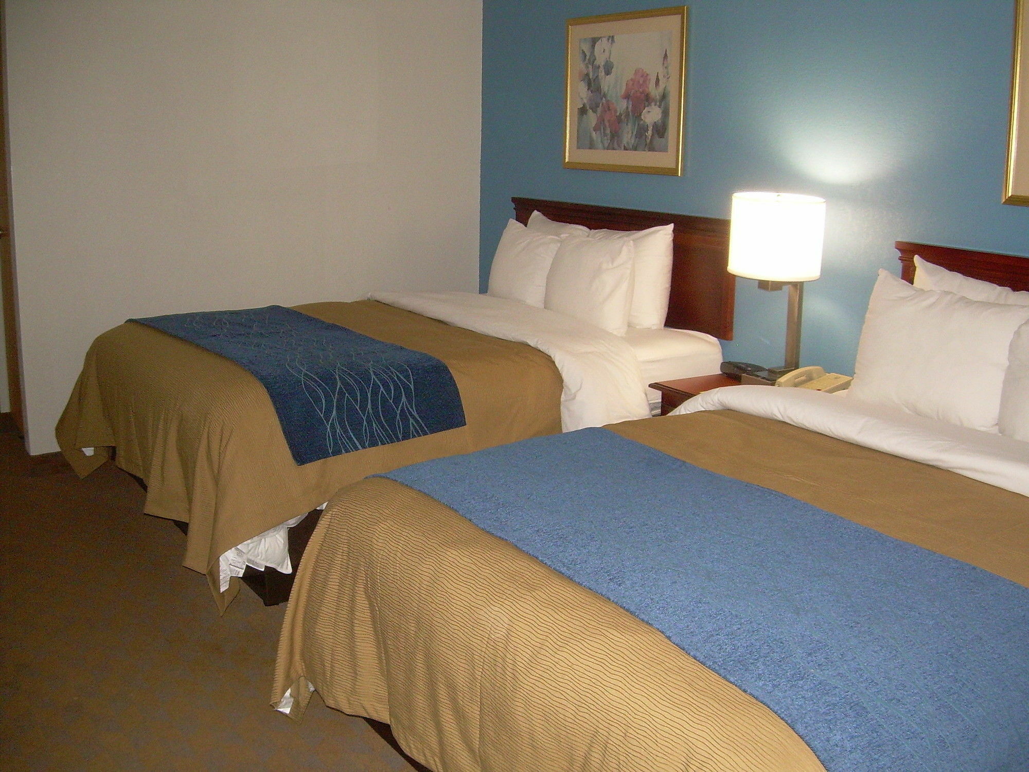 Comfort Inn & Suites Lees Summit - Kansas City Лийс Съмит Екстериор снимка